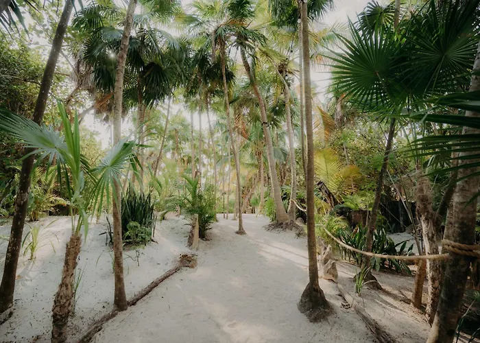 Luxury With Rooftop Pool And Gym In Location Tulum
